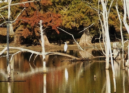 landolakes098c.jpg