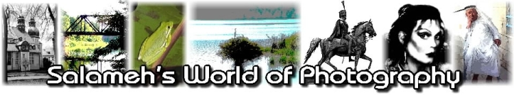 photographybanner1b.jpg